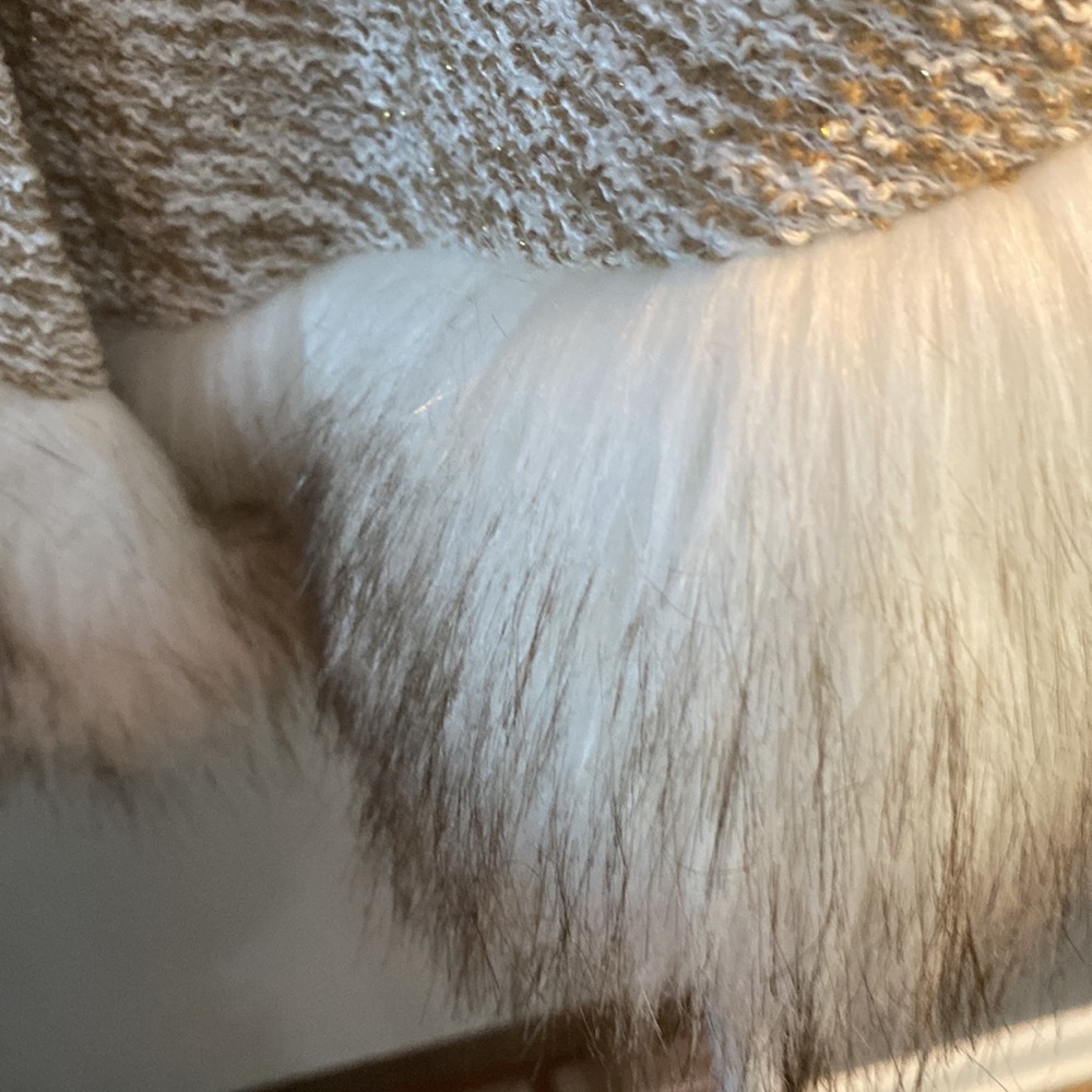 Poncho - Picture 3 of 4